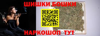 гидра Будённовск