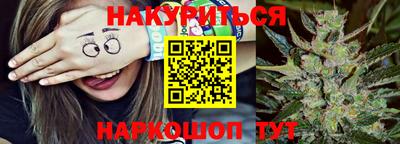 гидра Будённовск