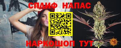 гидра Будённовск