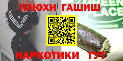 гидра Будённовск