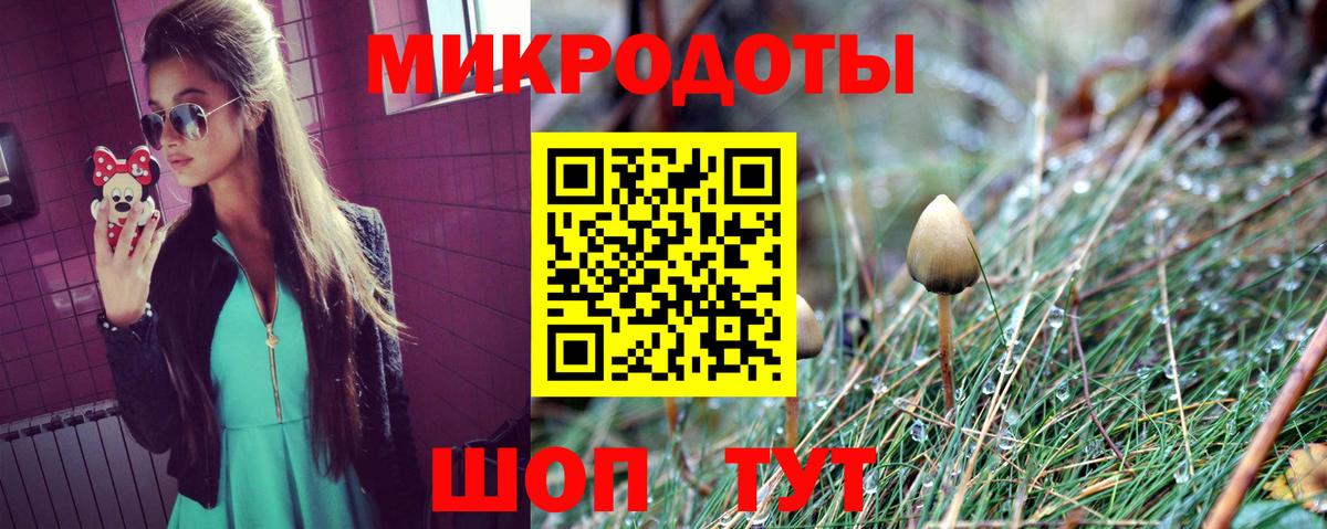 закладки  Псилоцибиновые грибы Psilocybe  Вход с VPN  Полевской 