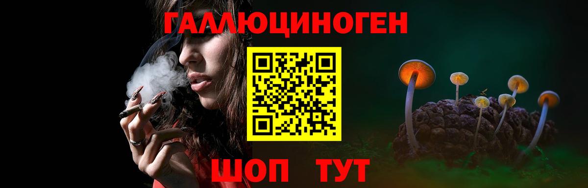 Псилоцибиновые грибы мицелий Полевской